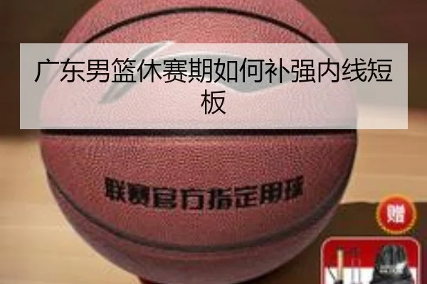 广东男篮休赛期如何补强内线短板
